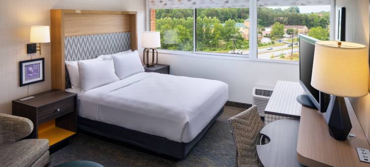 夏洛茨维尔 智选假日酒店及套房(Holiday Inn Express & Suites CHARLOTTESVILLE by IHG)图片