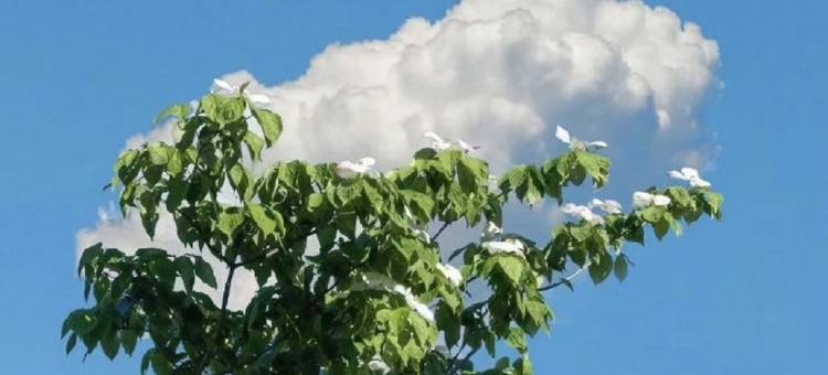 星寓民宿(公园一路1号分店)图片