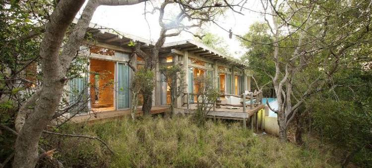 卡帕玛卡鲁拉山林小屋(Kapama Karula)图片