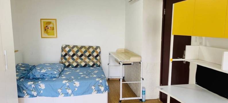 田子坊人民广场南翔上大花园洋房711号公寓(金迎路分店)图片