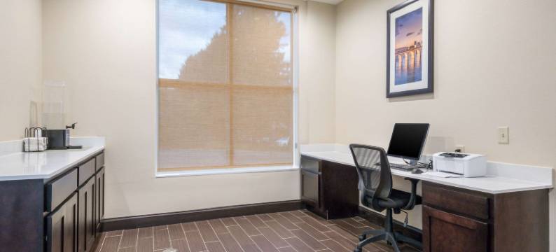 哈里斯堡赫尔希西舒适套房酒店(Comfort Inn & Suites Harrisburg - Hershey West)图片