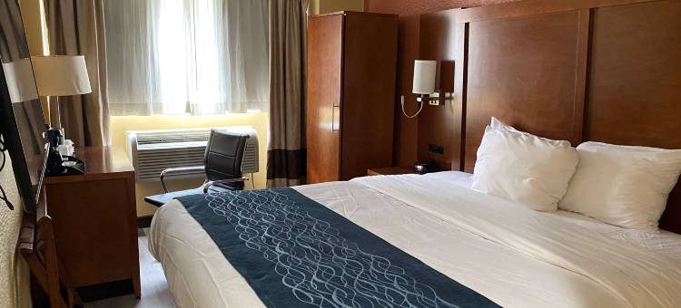 纽约时代广场西温德姆华美达酒店(Ramada by Wyndham New York Times Square West)图片