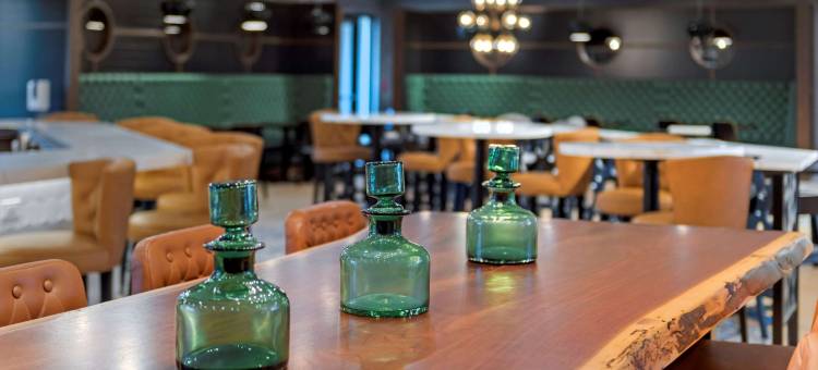 谢尔比镇-底特律坎布里亚酒店(Cambria Hotel Detroit-Shelby Township)图片