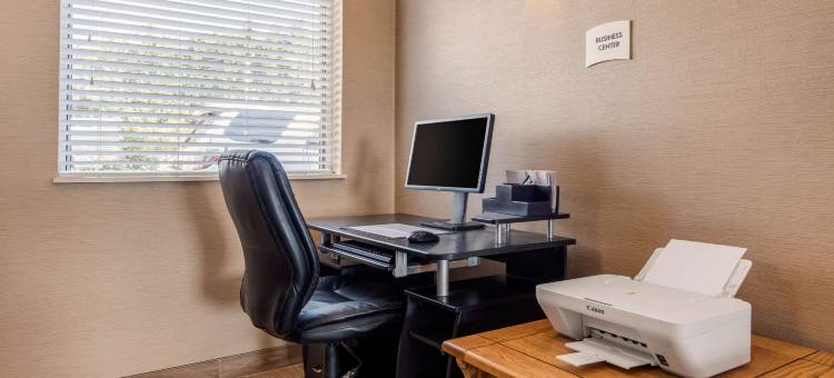 新堡凯艺套房酒店(Quality Inn & Suites New Castle)图片