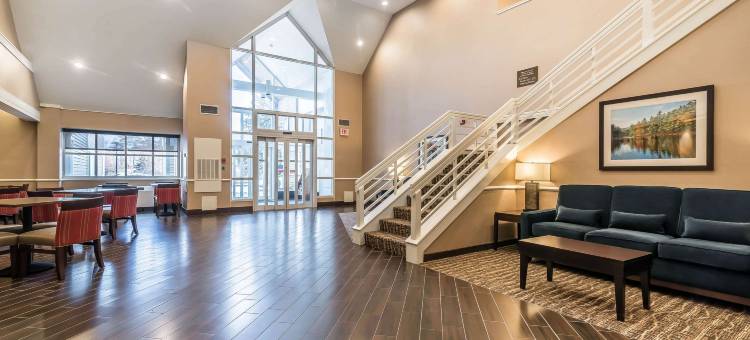 舒适酒店(Comfort Inn)图片