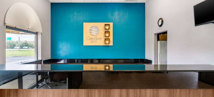 太阳城中心坦帕南舒适酒店(Comfort Inn Sun City Center - Ruskin - Tampa South)图片