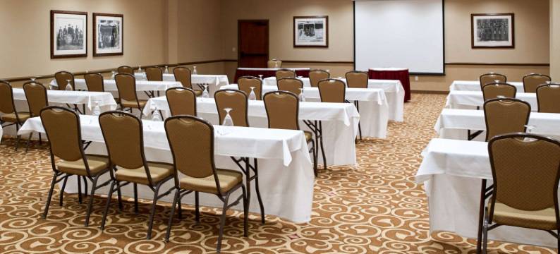 克拉丽奥机场酒店(Clarion Hotel Airport)图片