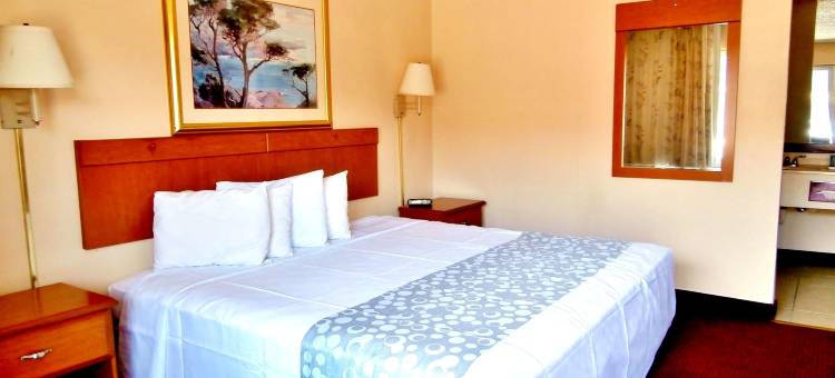 阿拉楚阿美洲最佳价值酒店(Americas Best Value Inn-Alachua)图片