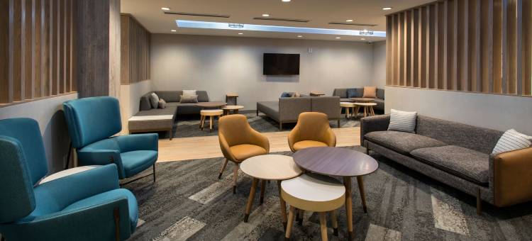 纽约布鲁克林TownePlace Suites酒店(TownePlace Suites New York Brooklyn)图片