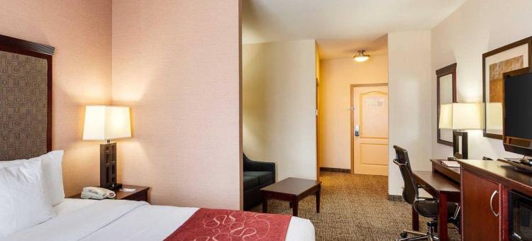 普莱诺-北达拉斯舒适全套房酒店(Comfort Suites Plano - Dallas North)图片
