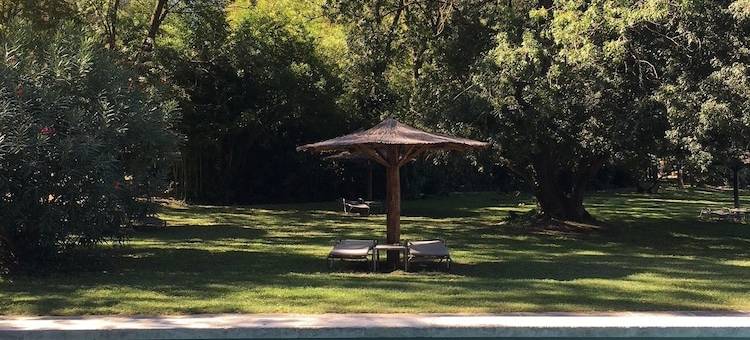 阿尔皮勒城堡酒店(Hôtel Chateau des Alpilles)图片