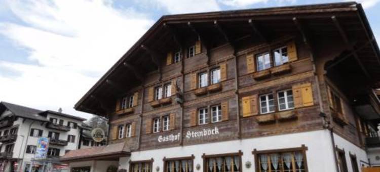 宝狮酒店(Hotel Steinbock Grindelwald)图片