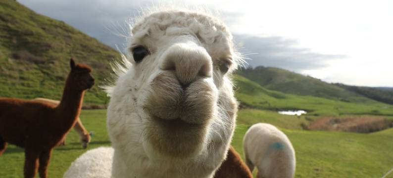 海员杰特威酒店(Seafarers Getaway)图片