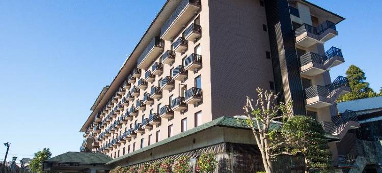 成田爱迪星大酒店(The Hedistar Hotel Narita)图片