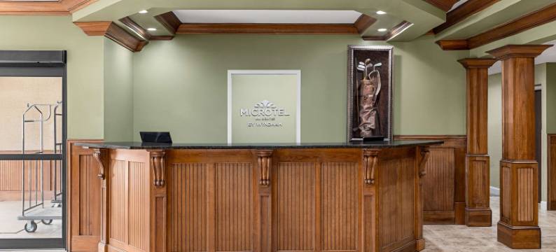 伍德斯托克/亚特兰大北麦客达温德姆酒店(Microtel Inn & Suites by Wyndham Woodstock/Atlanta North)图片