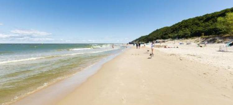 Apartamenty AmberHome图片