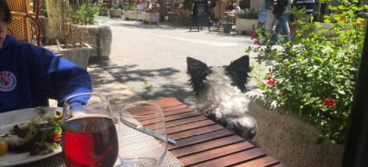 Penthouse Duplex Couple ou Famille- la Maison Searle à Tourtour图片