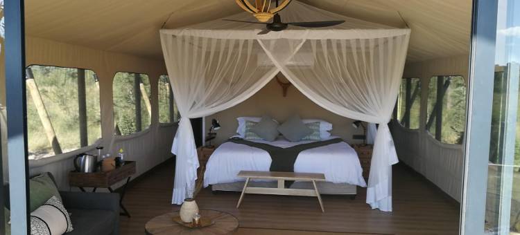 姆杜利游猎旅馆(Mdluli Safari Lodge)图片
