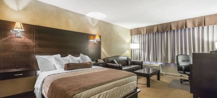 会议中心品质酒店(Quality Hotel & Conference Centre)图片