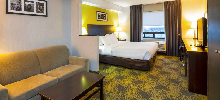 舒适套房酒店(Comfort Hotel & Suites)图片