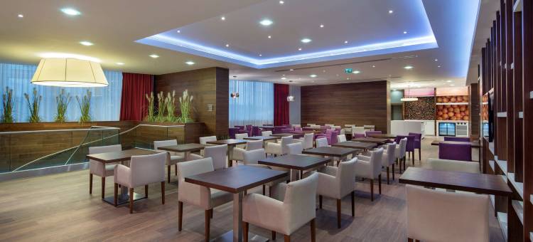 卡亚什尔希尔顿欢朋酒店(Hampton by Hilton Istanbul Kayasehir)图片