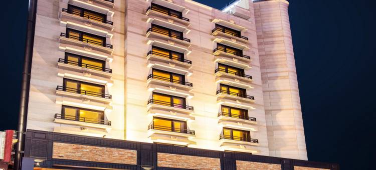 大田树木酒店(Daejeon Namoo Hotel)图片