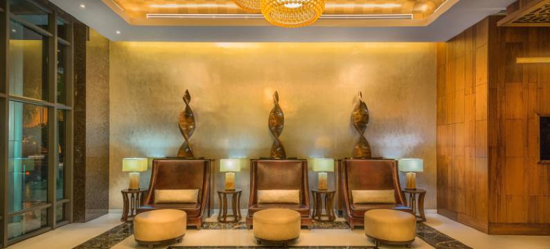 圣多明戈JW万豪酒店(JW Marriott Hotel Santo Domingo)图片