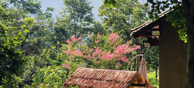 武当山山里寒舍民宿(武当山景区店)图片