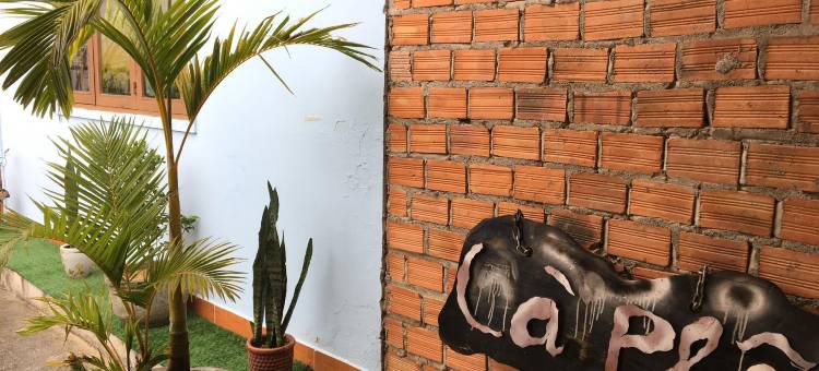 大叻巧克力家庭旅馆(Dalat Chocolate Homestay)图片