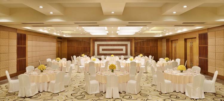 印多尔丽笙酒店(Radisson Blu Hotel, Indore)图片