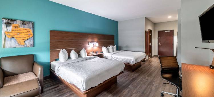 鲍维贝斯特韦斯特套房酒店(Best Western Bowie Inn  Suites)图片