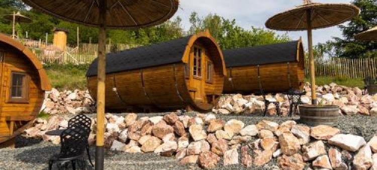 Complex Butoaiele Transilvaniei - Cazare & Spa - Natura - Relaxare图片