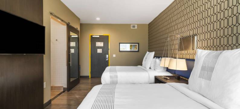 普勒 - 萨凡纳机场贝斯特韦斯特格洛酒店(GLō Best Western Pooler - Savannah Airport Hotel)图片