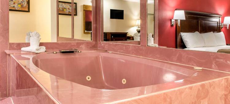 霍兰伊克诺旅馆(Econo Lodge)图片