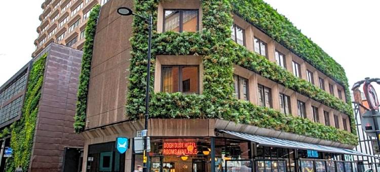 BrewDog DogHouse Manchester 酿酒狗曼彻斯特之家(BrewDog DogHouse Manchester)图片