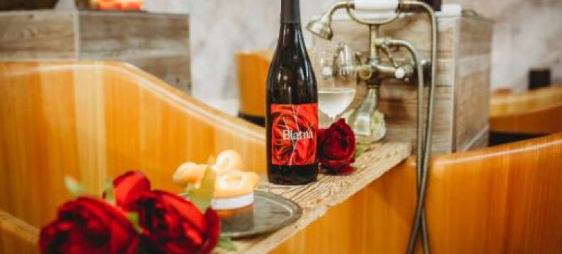 Apartmány V Podzámčí V blízkosti zámku Blatná图片