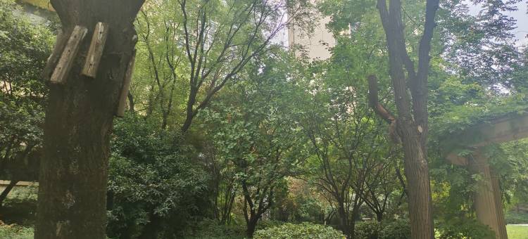 梧桐树知家公寓(鱼丁路分店)图片