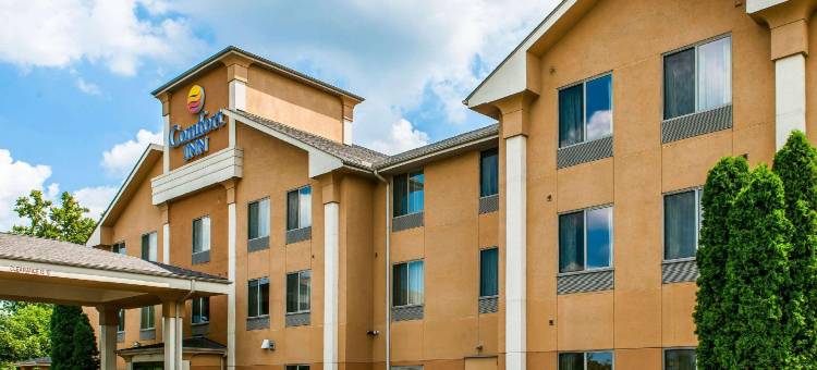 舒适酒店(Comfort Inn)图片