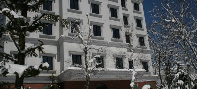 Abest白马村度假酒店(Hotel Abest Happo Aldea)图片