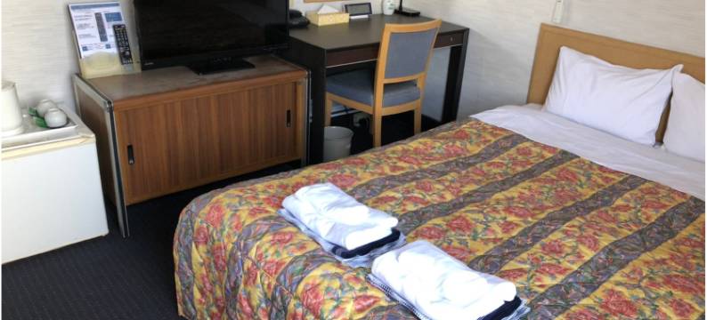 宫崎皇家商务酒店(Business Miyazaki Royal Hotel)图片