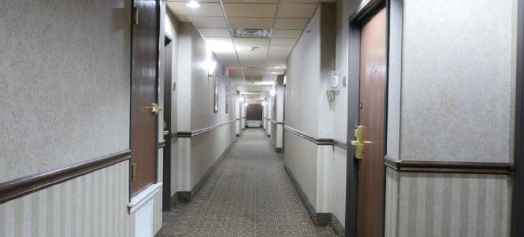 医学中心北贝斯特韦斯特套房酒店-近六旗(Best Western Medical Center North Inn  Suites Near Six Flags)图片