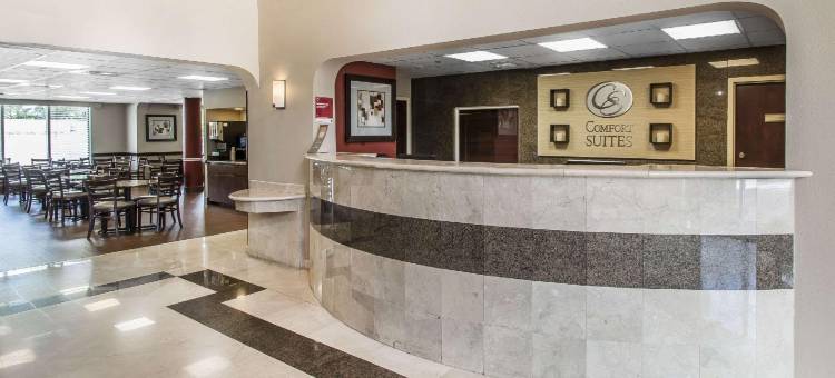 康福特套房索格拉斯(Comfort Suites Sawgrass)图片