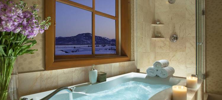 蛇河别墅温泉罗克度假酒店(Snake River Lodge & Spa)图片