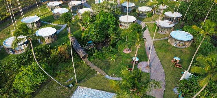 Taboo Milagres图片