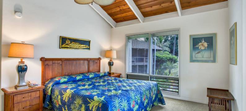 科纳卡纳洛亚城堡(Castle Kanaloa at Kona)图片