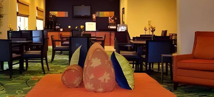 达拉斯普莱诺万枫套房酒店(Fairfield Inn & Suites Dallas Plano)图片