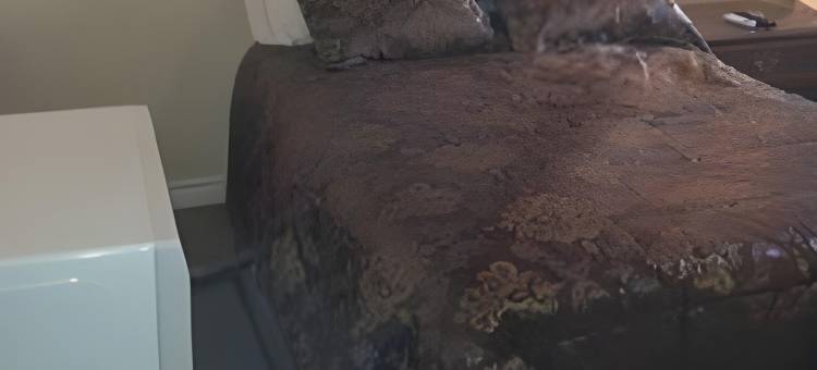 安大略大萨德伯里 6 号汽车旅馆(Motel 6 Sudbury, on)图片