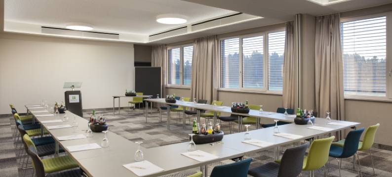 菲林根-施文宁根假日酒店(Holiday Inn VILLINGEN - SCHWENNINGEN by IHG)图片
