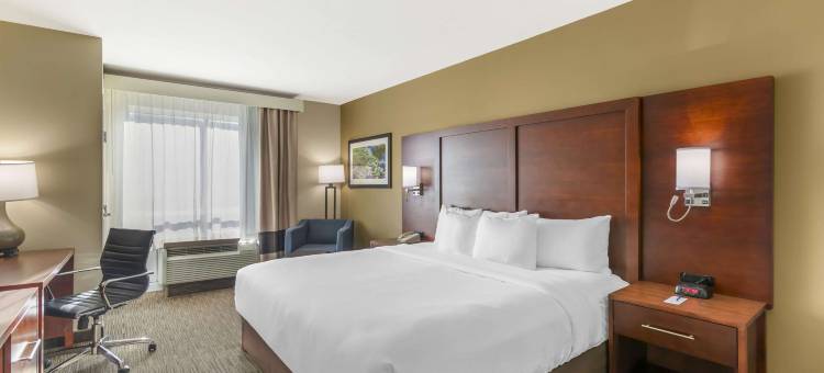 舒适套房酒店(Comfort Inn & Suites)图片