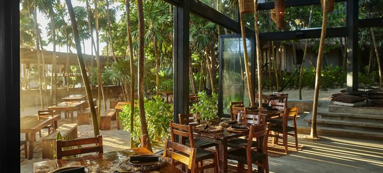 图卢姆 Our Habitas 酒店 - 仅限成人(Our Habitas Tulum - Adults Only)图片